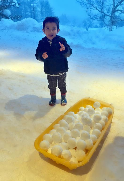 Snowball Chalet At Madarao Mountain Hotel Iiyama Exterior photo